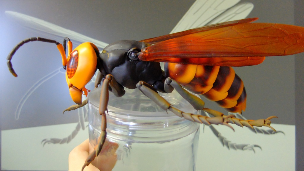 フル可動 オオスズメバチ(キット)
