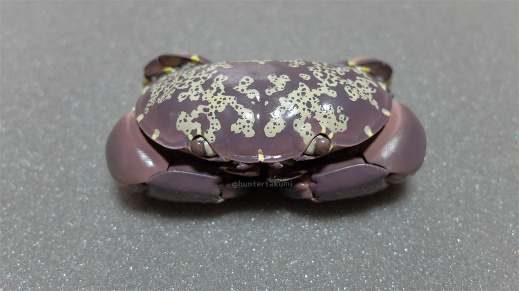 フル可動 スベスベマンジュウガニ(キット)