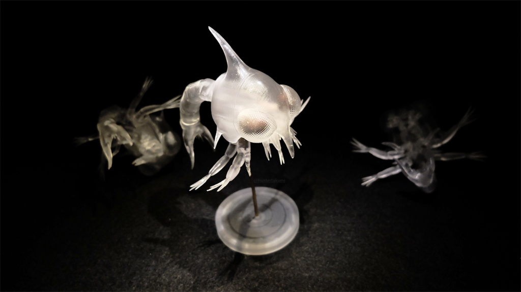 可動 ゾエア幼生(キット)