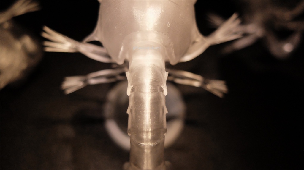 可動 ゾエア幼生(キット)