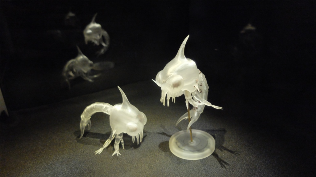 可動 ゾエア幼生(キット)