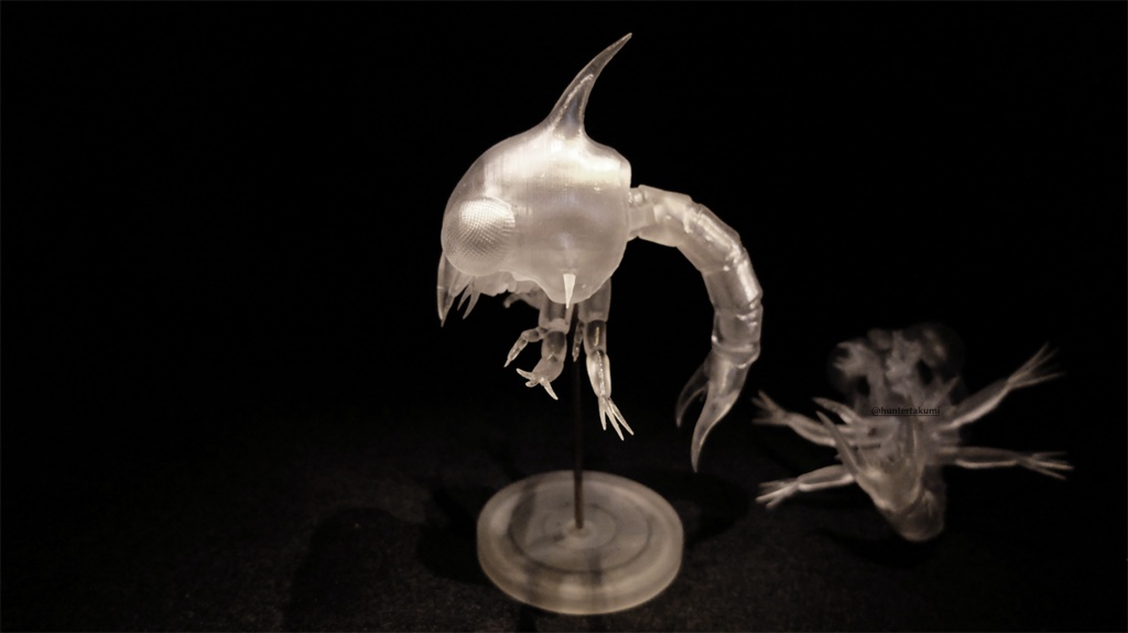 可動 ゾエア幼生(キット)