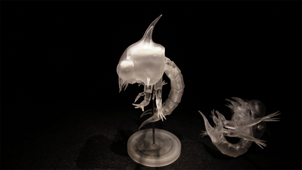 可動 ゾエア幼生(キット)