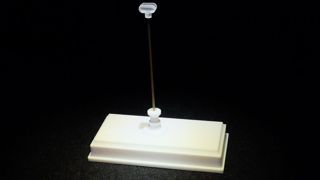 マンボウ全身骨格(キット)