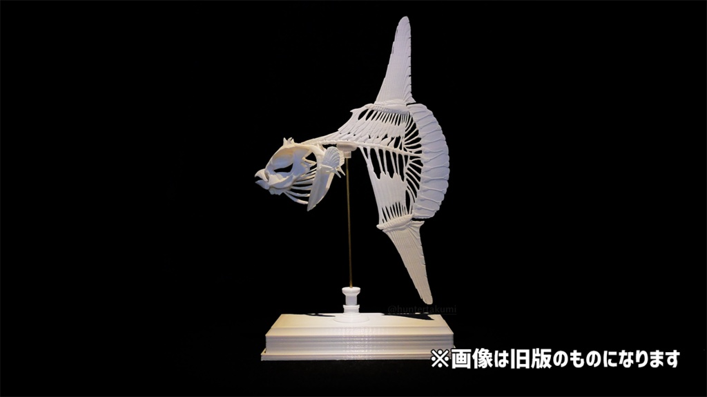 マンボウ全身骨格(キット)