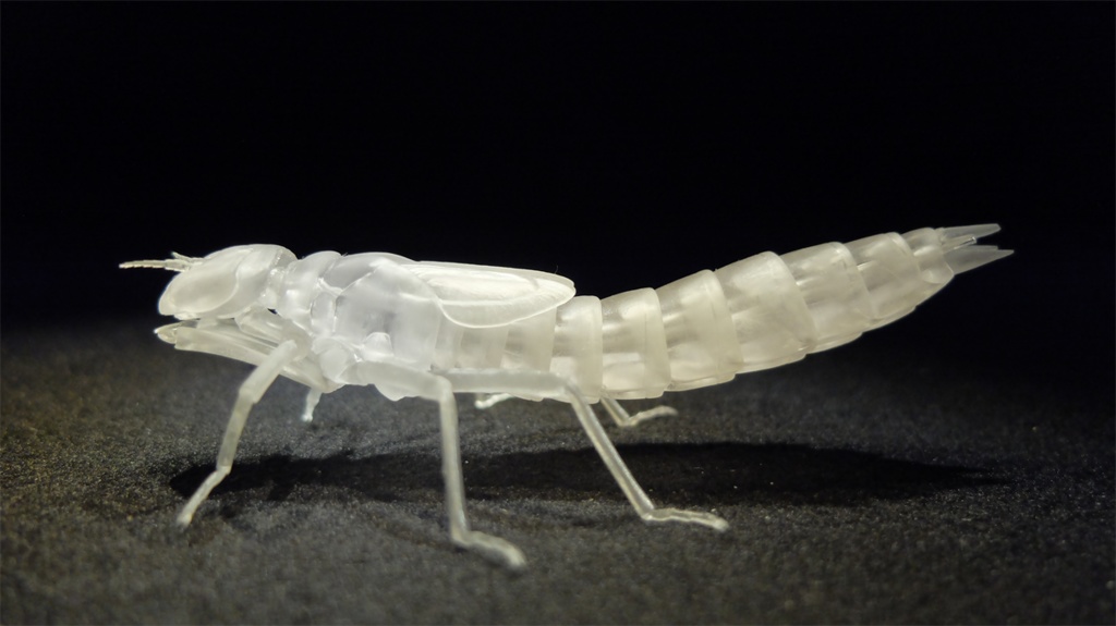 可動 ギンヤンマ幼虫(キット)