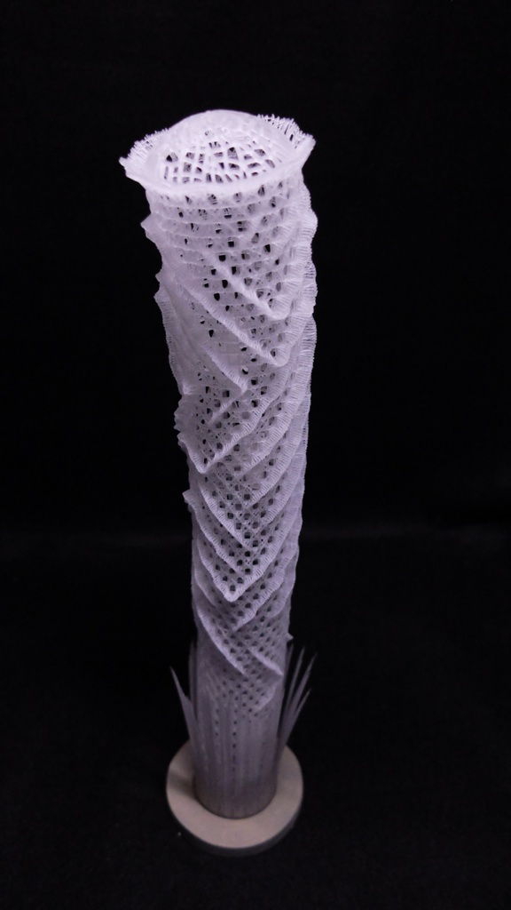 カイロウドウケツ(キット)