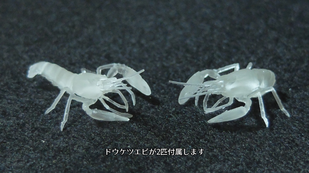 カイロウドウケツ(キット)