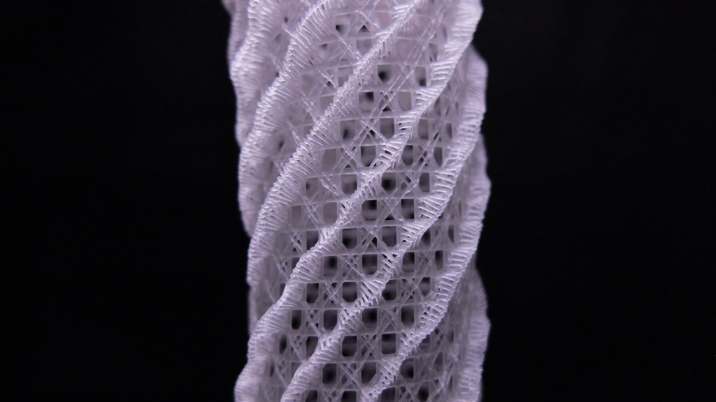 カイロウドウケツ(キット)