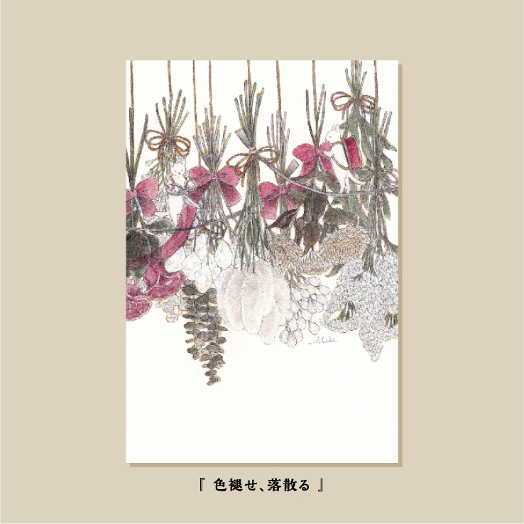 ポストカード 5種