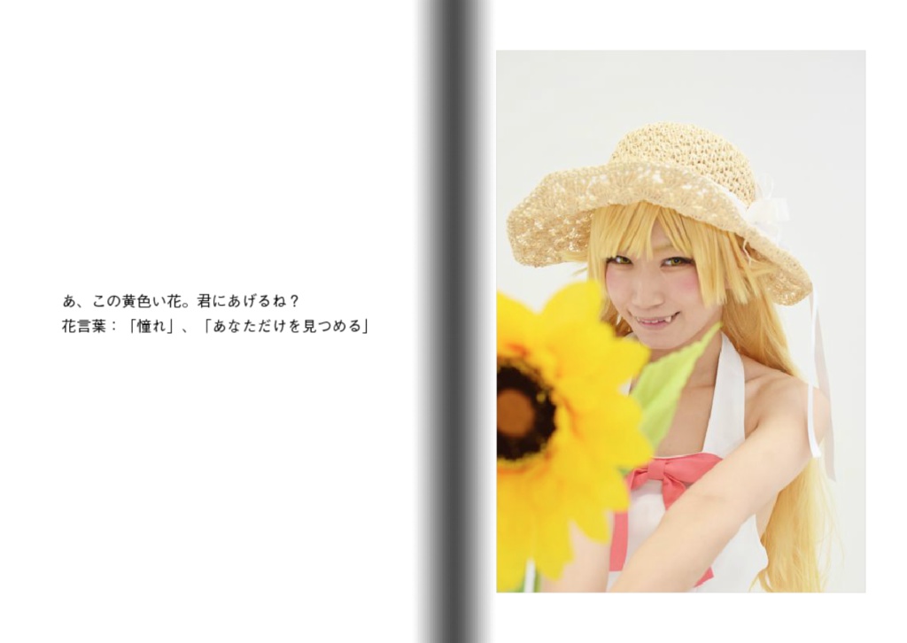 忍野忍の夏休み