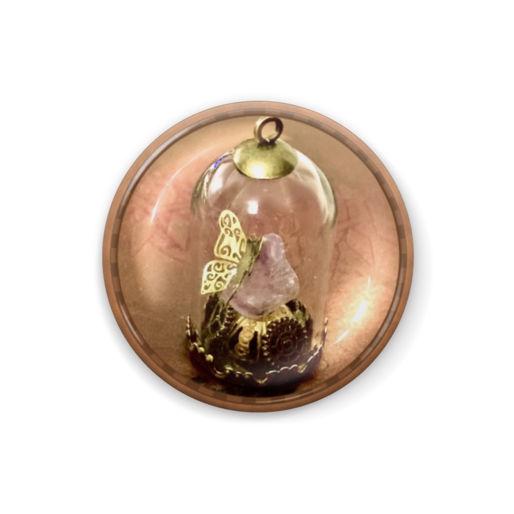 金属蝶々の標本