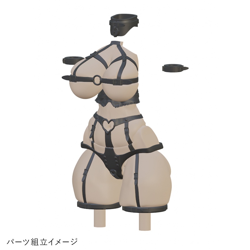 魅惑のセクシーボンデージ