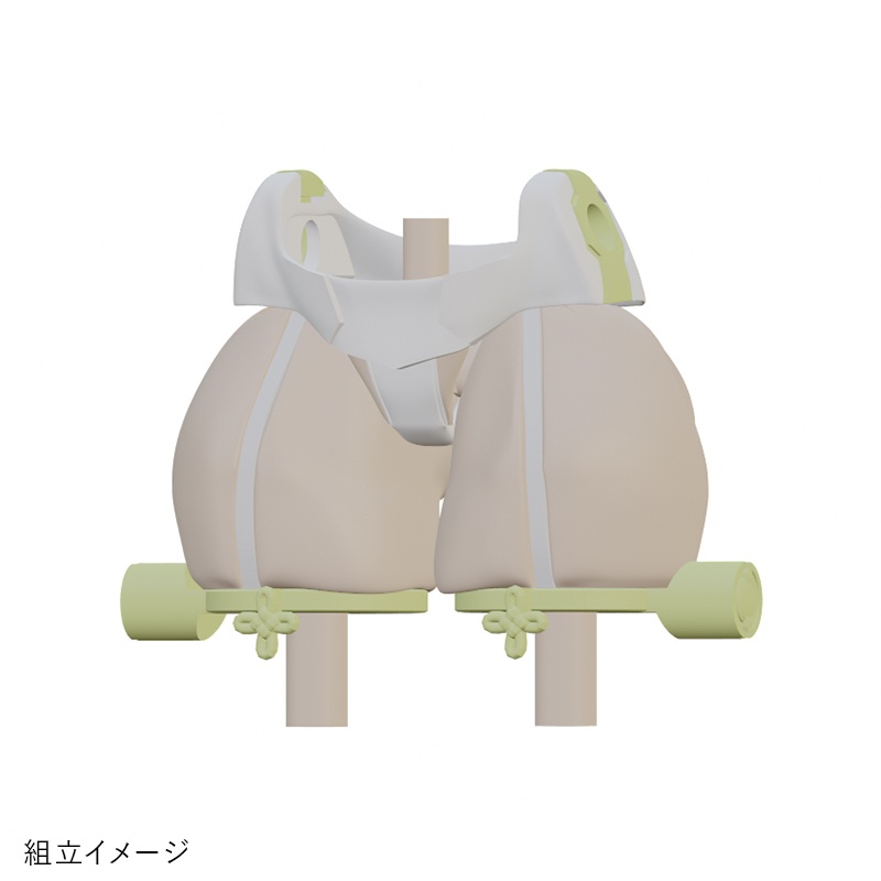 健康的なアマテラスのお尻と太もも