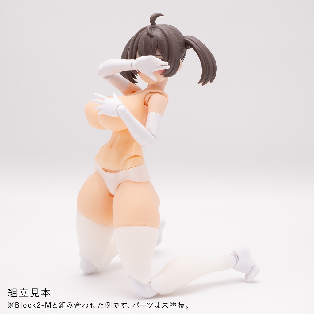 健康的なBlock2-Mのグラマラスボディ