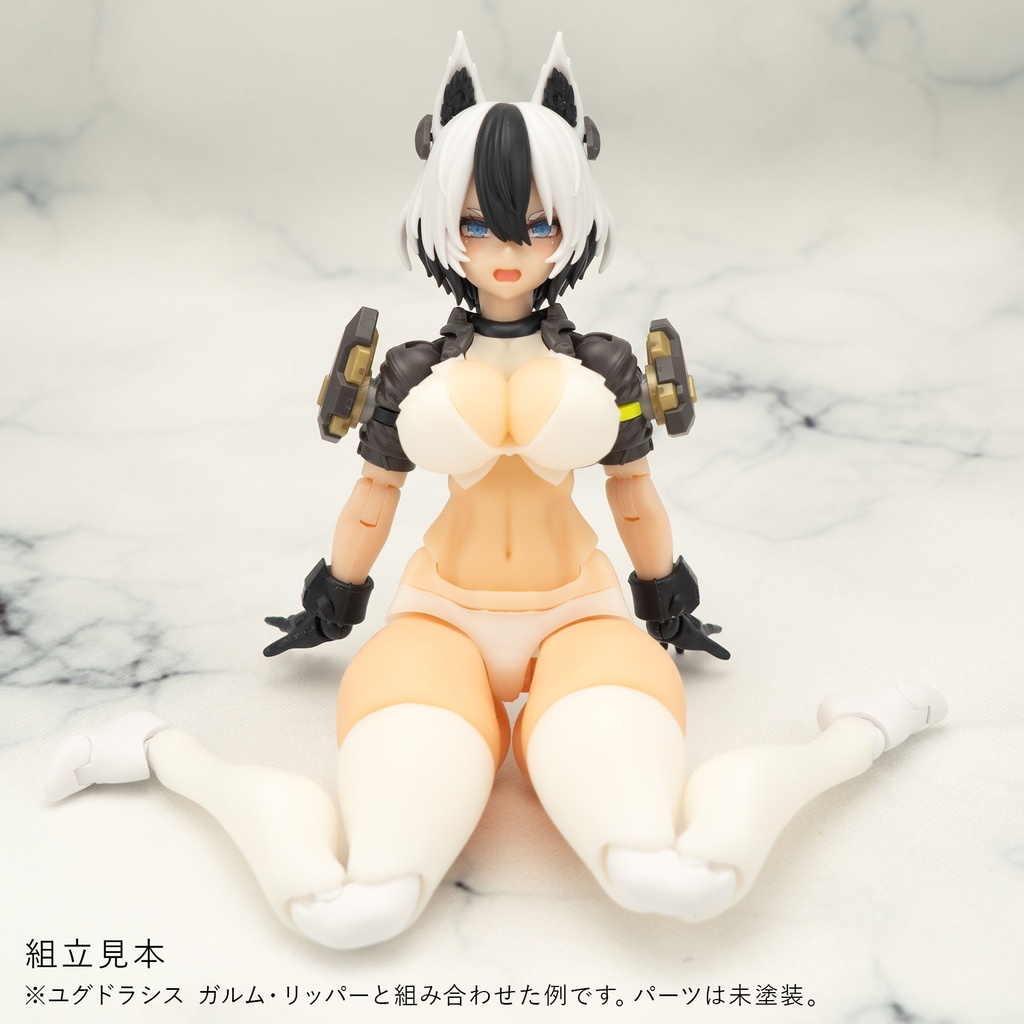 健康的なBlock2-M対応セクシーポリス