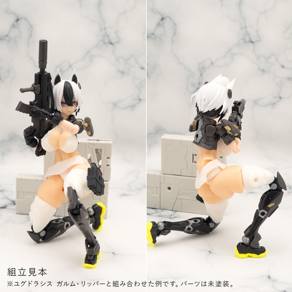 健康的なBlock2-M対応セクシーポリス