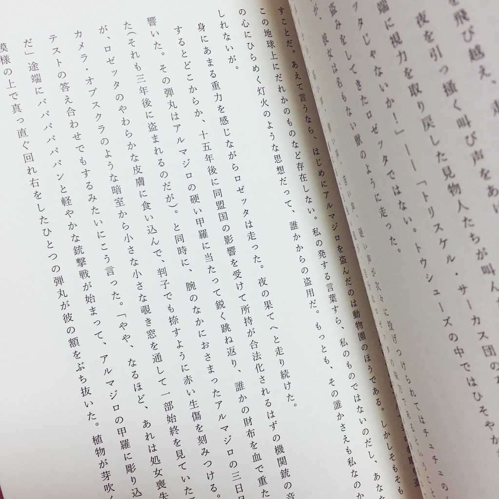 アルマジロ泥棒