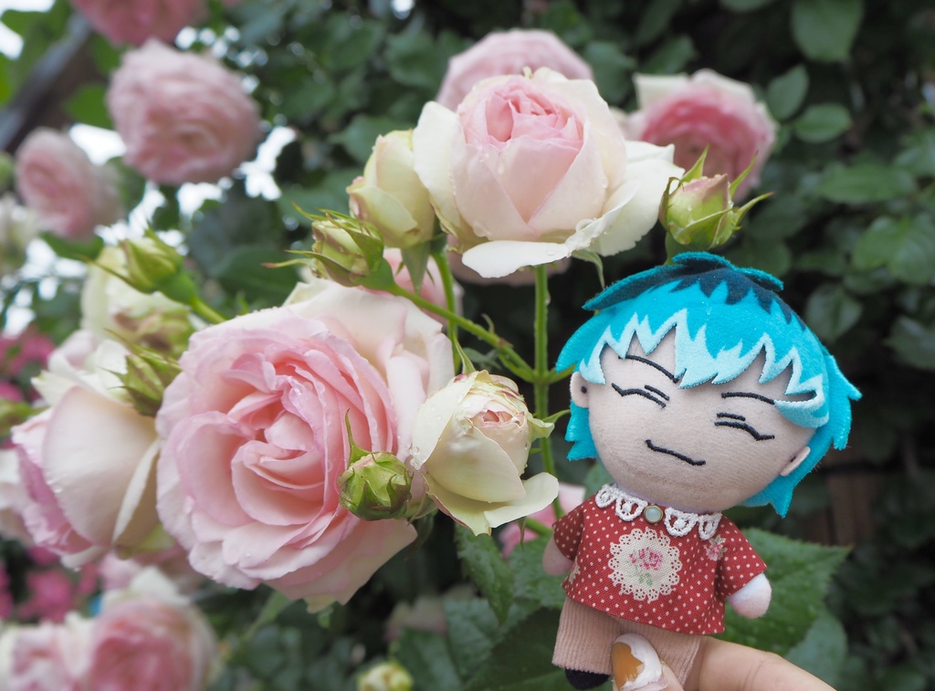 ぬい服 レトロなお洋服🥀