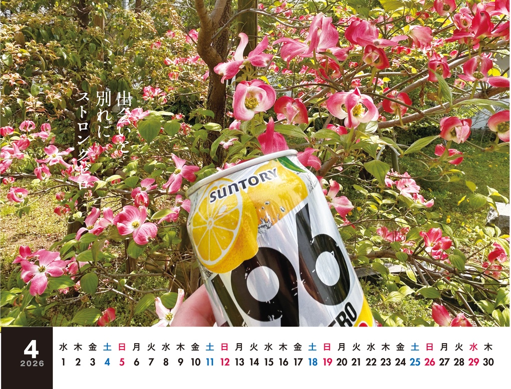 ストロングゼロカレンダー2026