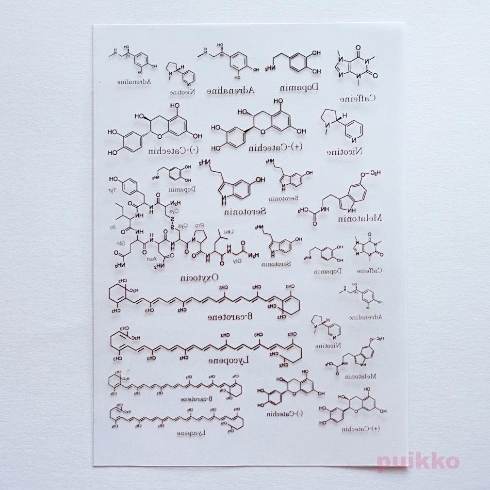 化学構造式 箔押し レジン封入用フィルム