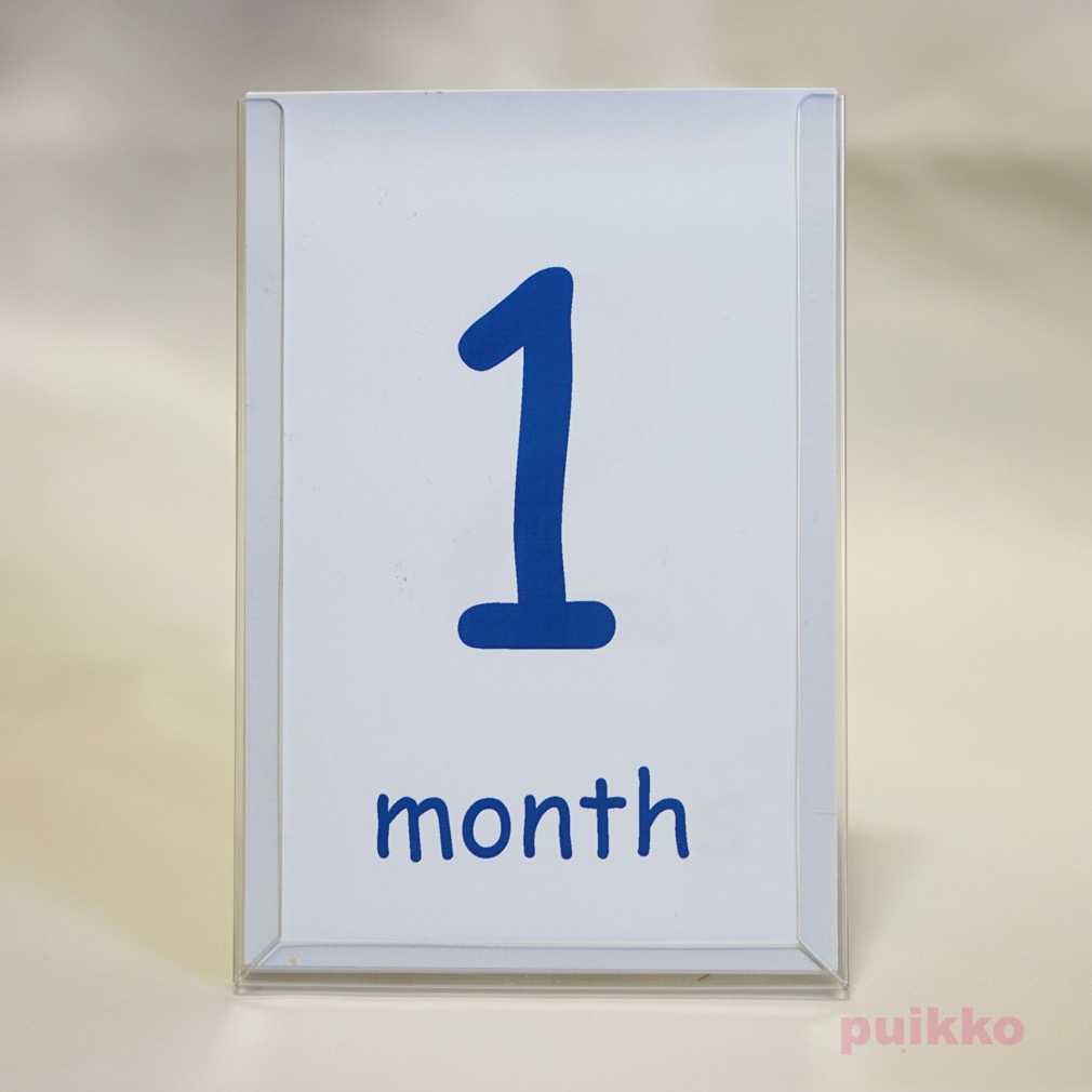 ベビーマンスリーカード ComicSans(はがきサイズ)