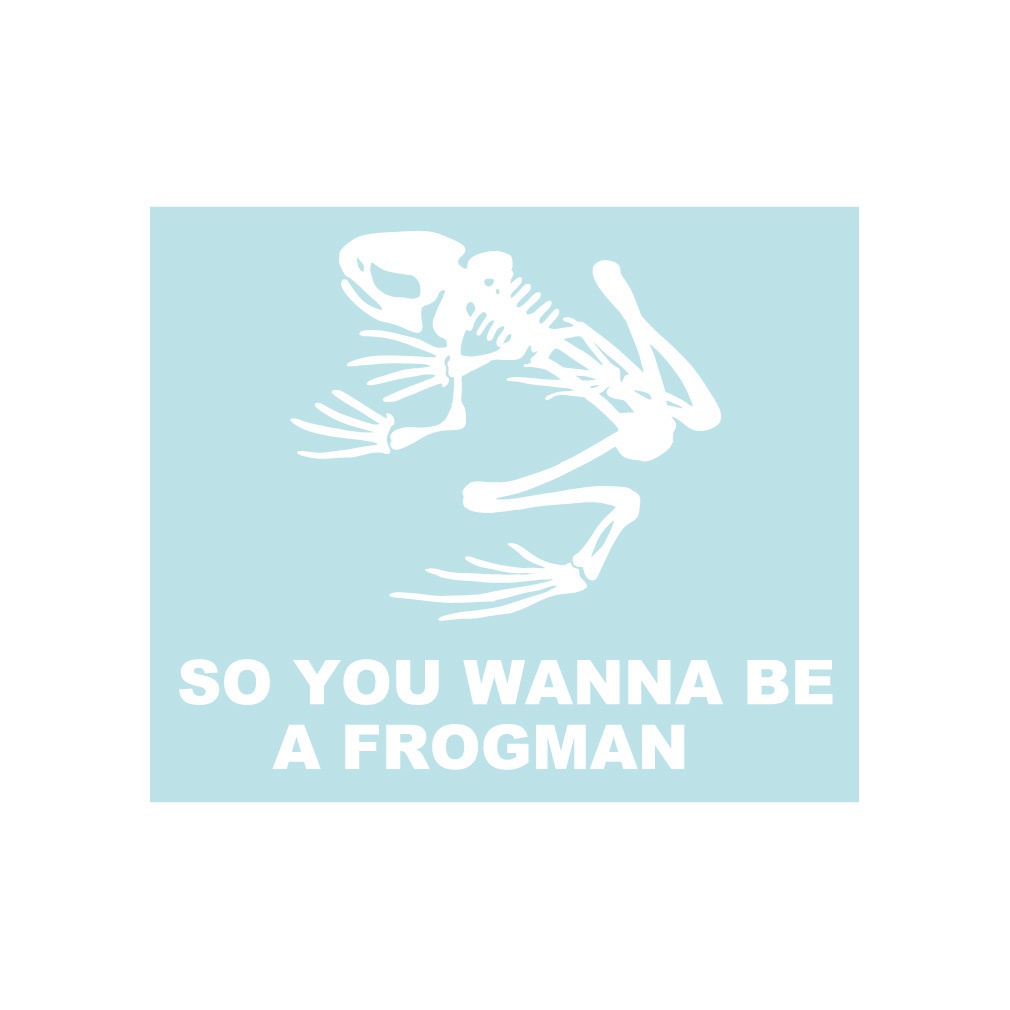 ミリタリーステッカー ネイビーシールズ スカルフロッグ・大