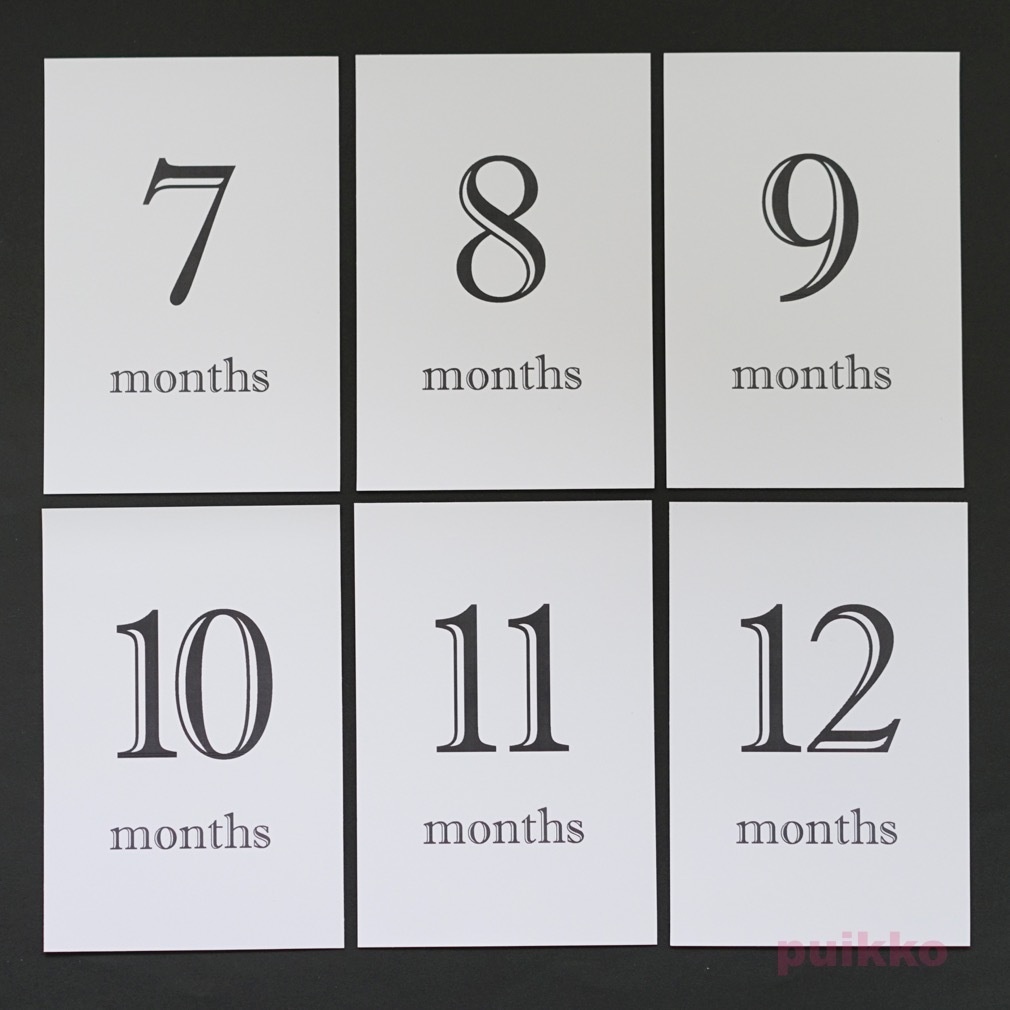 ベビーマンスリーカード Shadow・モノクロ