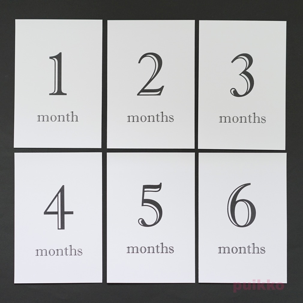 ベビーマンスリーカード Shadow・モノクロ