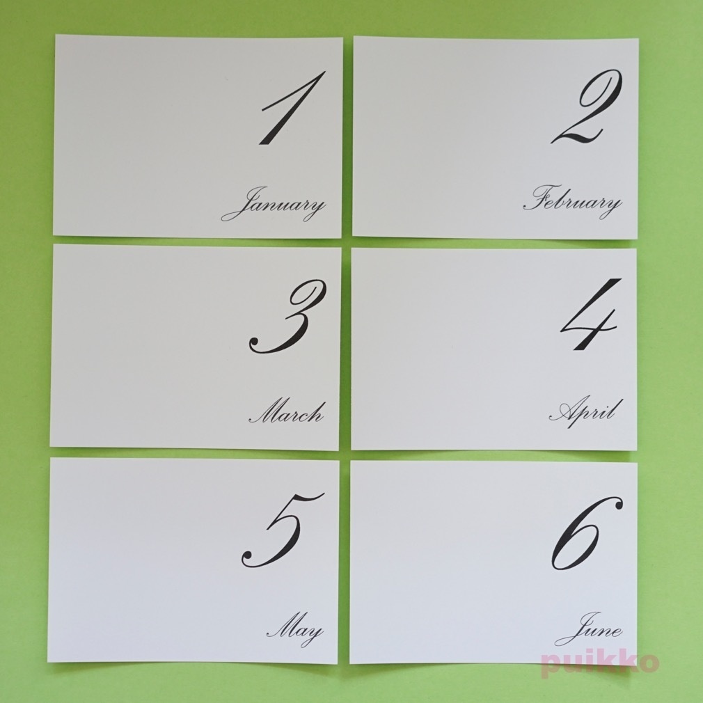 写真整理用マンスリーカード Palace・モノクロ