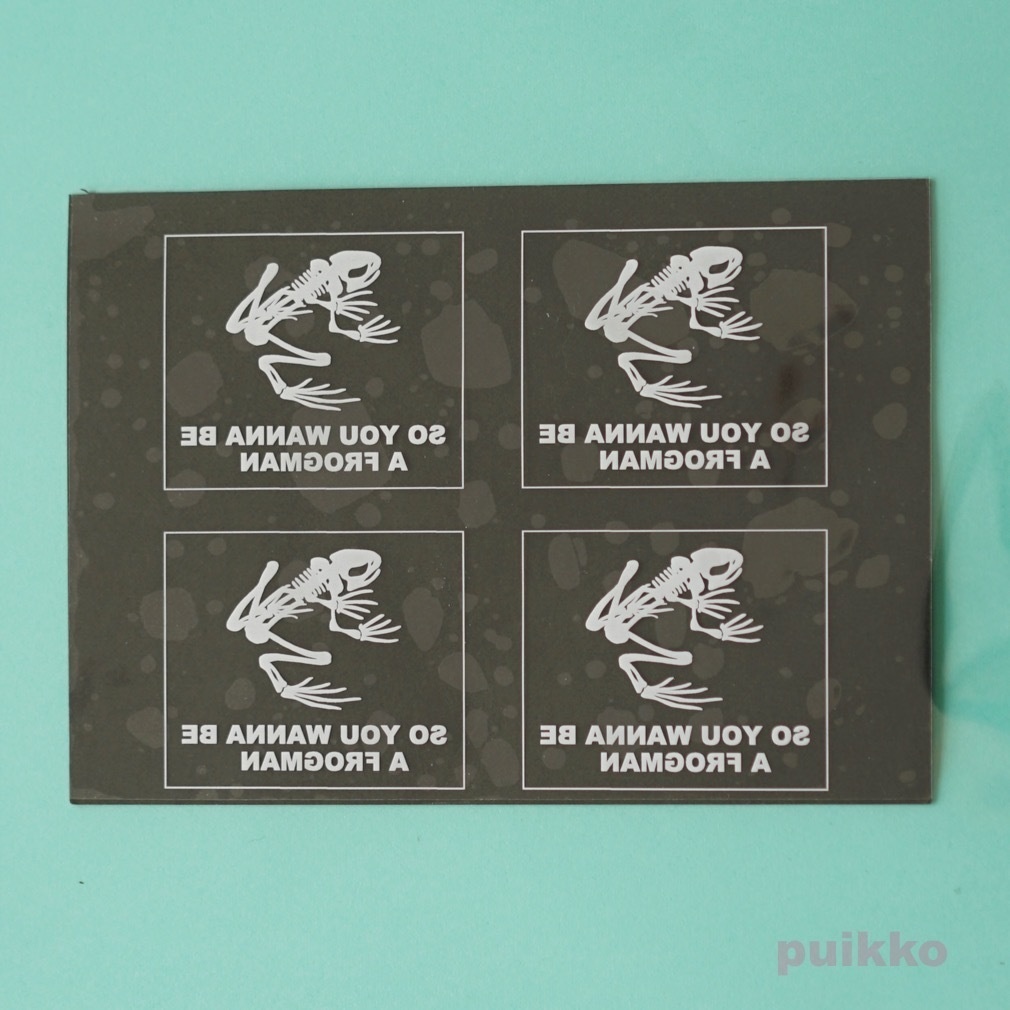 透明シール ネイビーシールズ スカルフロッグ ホワイト