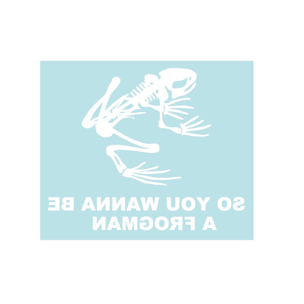 ミリタリーステッカー ネイビーシールズ スカルフロッグ・大(反転版)