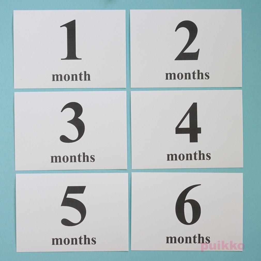 ベビーマンスリーカード Times・モノクロ(L判)