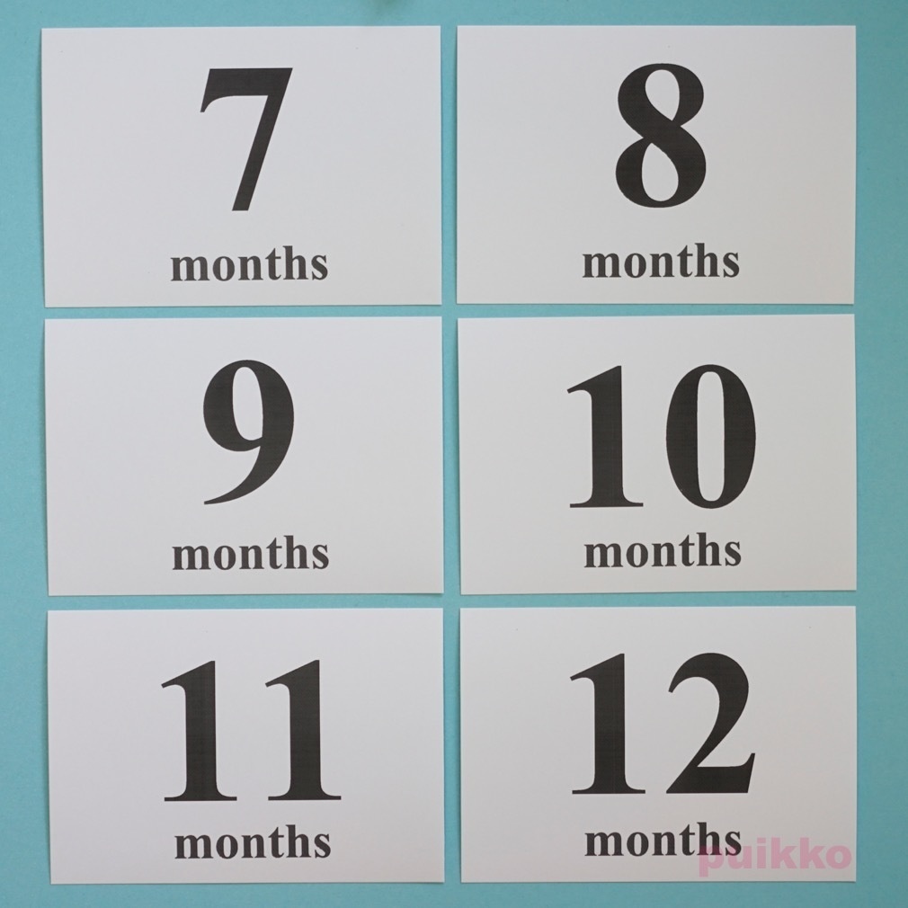 ベビーマンスリーカード Times・モノクロ(L判)