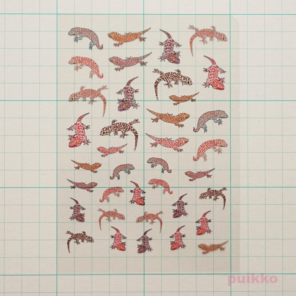 トッケイヤモリ レジン封入用フィルム