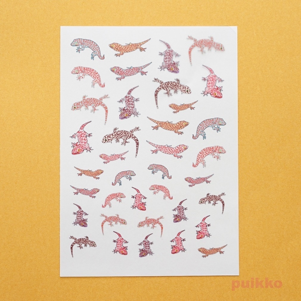 トッケイヤモリ　レジン封入用フィルム