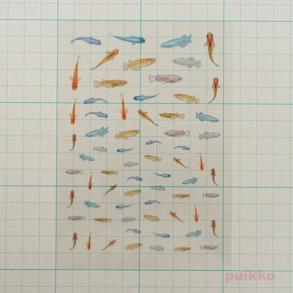 メダカ レジン封入用フィルム