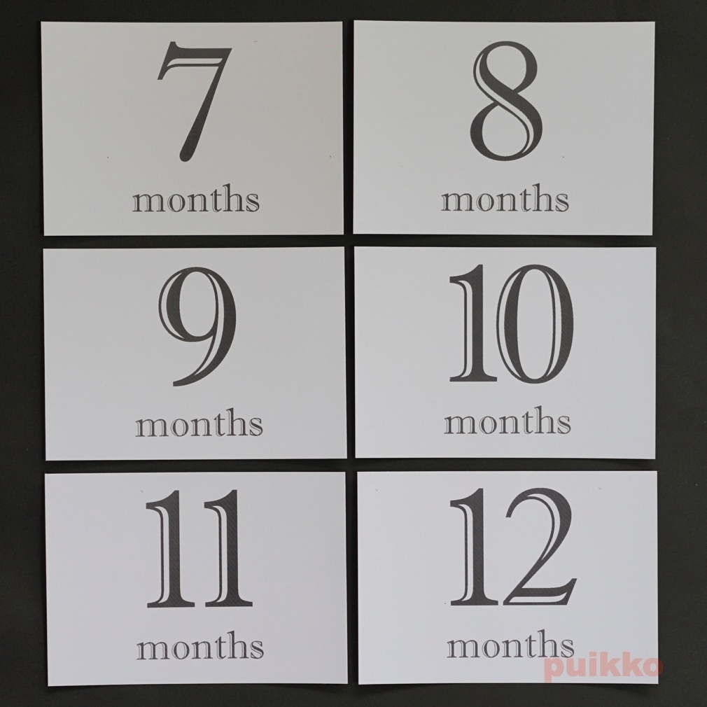 ベビーマンスリーカード Shadow・モノクロ(L判)