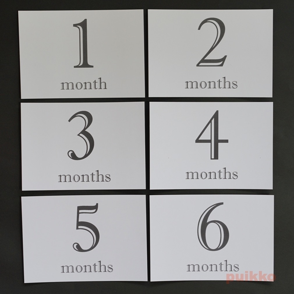 ベビーマンスリーカード Shadow・モノクロ(L判)