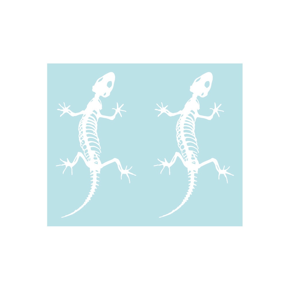 ステッカー トカゲの骨格・小