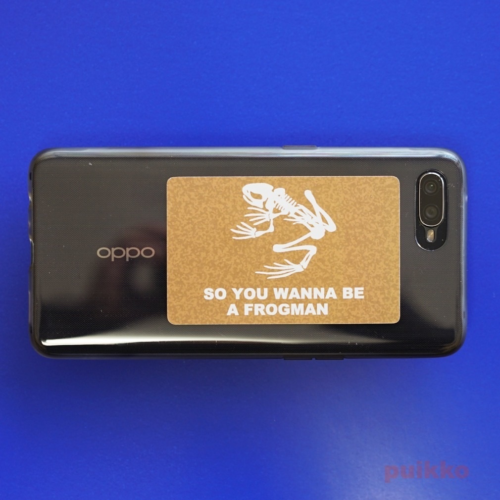 吸着シール(3枚セット) スカルフロッグ