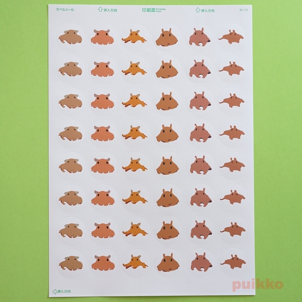 丸シール30mm　メンダコ2