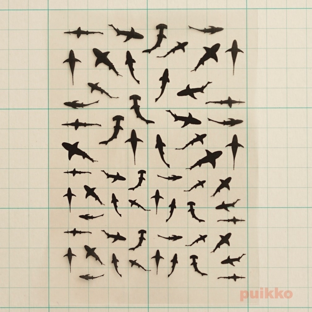 上から見たサメ レジン封入用フィルム