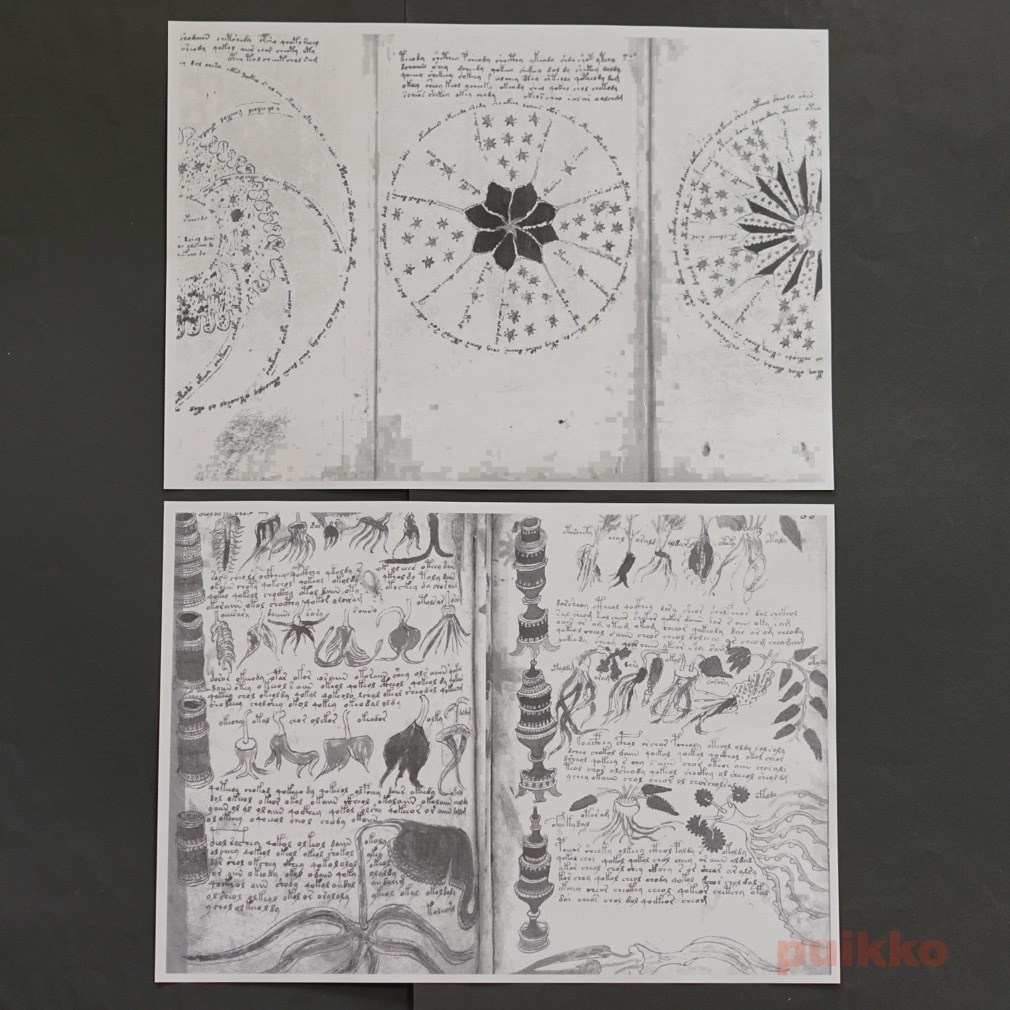 紙製ブックカバー ヴォイニッチ手稿2(モノクロ)