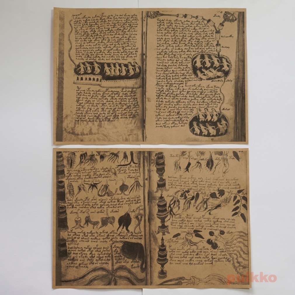 紙製ブックカバー ヴォイニッチ手稿2(モノクロ)