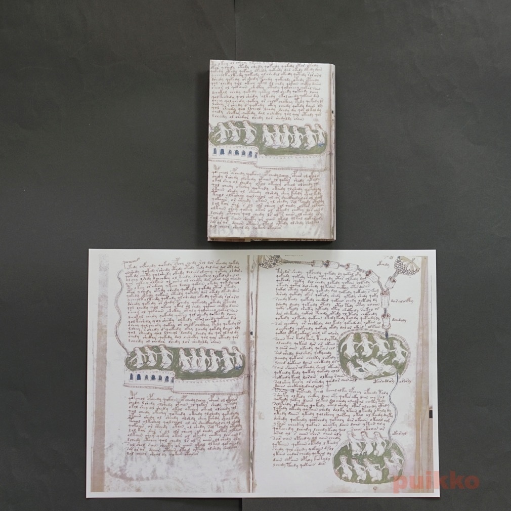 紙製ブックカバー ヴォイニッチ手稿2(カラー)