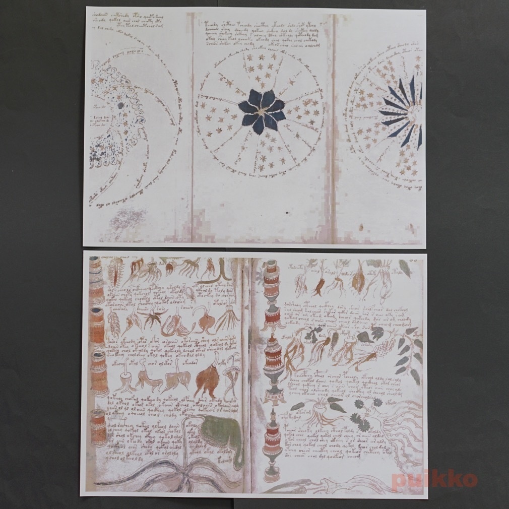 紙製ブックカバー ヴォイニッチ手稿2(カラー)