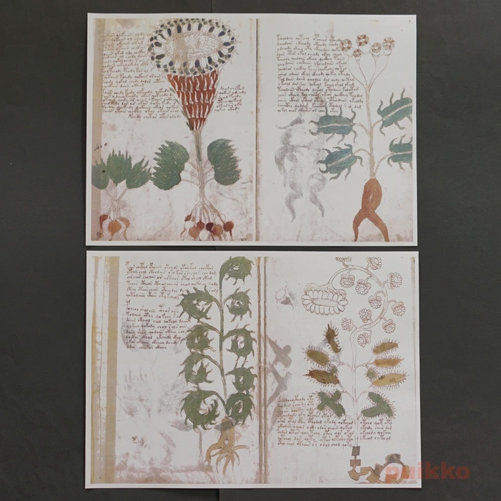 紙製ブックカバー ヴォイニッチ手稿2(カラー)