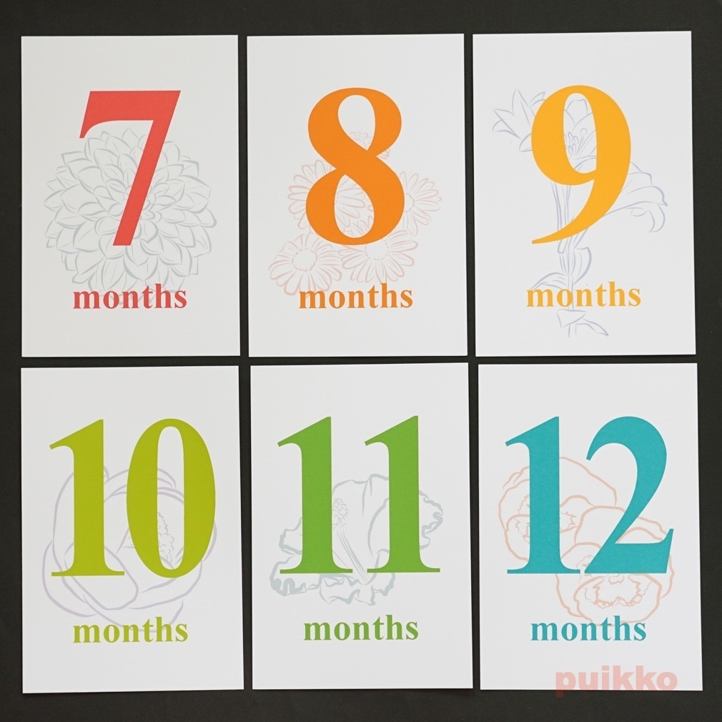 ベビーマンスリーカード Times 花(はがきサイズ)