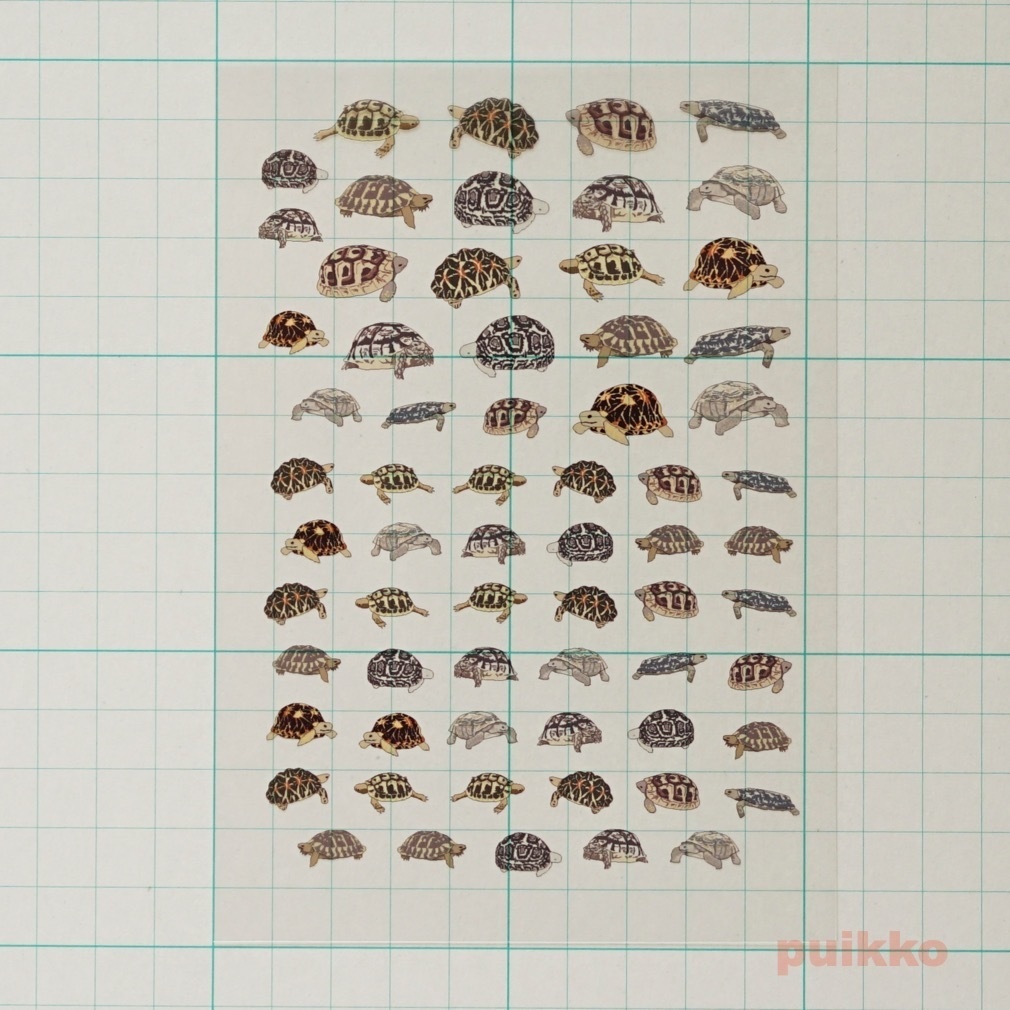 レジン封入用フィルム リクガメ